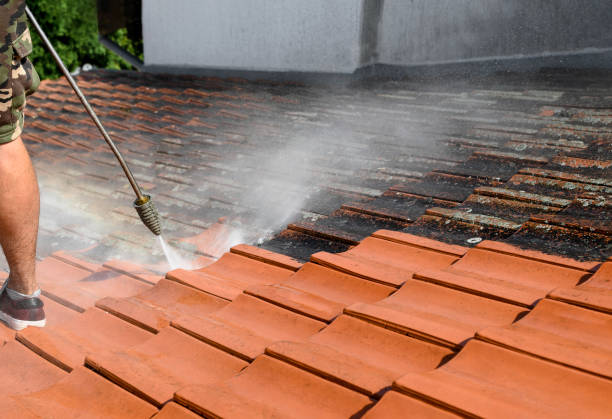 Best Pressure Washing Services Near Me  in Mill Neck, NY